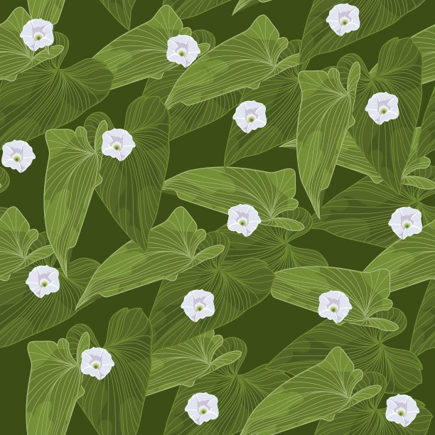 无缝背景与绿色的叶子和花图片下载