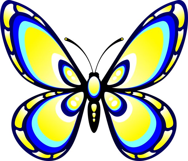 彩色的蝴蝶图片下载