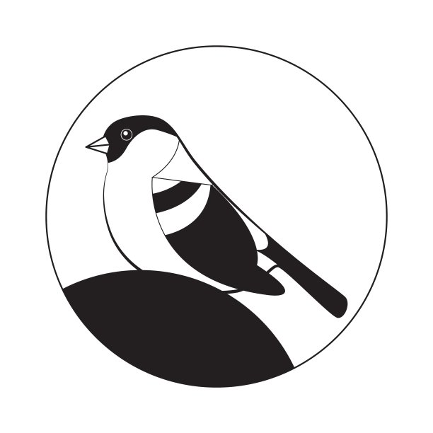 用一只鸟的图片签名图片下载