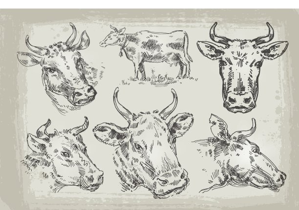 收集手绘奶牛图片下载