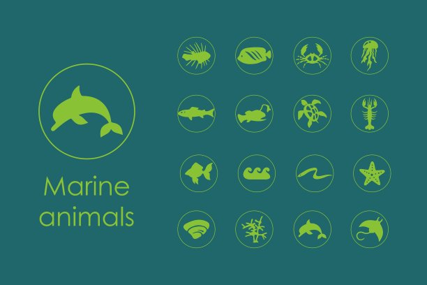 一组海洋动物简单的图标图片下载