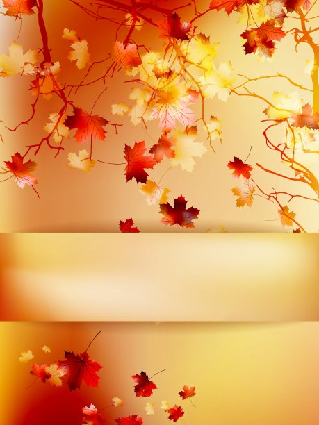 秋天与树叶回学校EPS 10图片下载