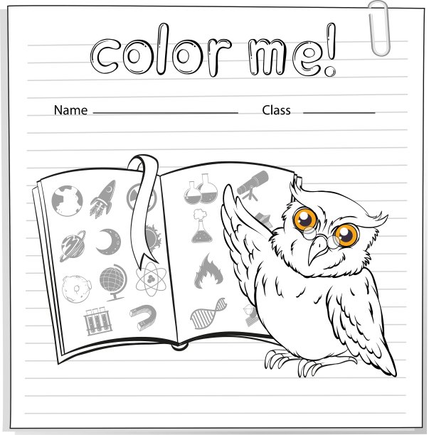 一张显示一只猫头鹰和一本书的练习题图片下载