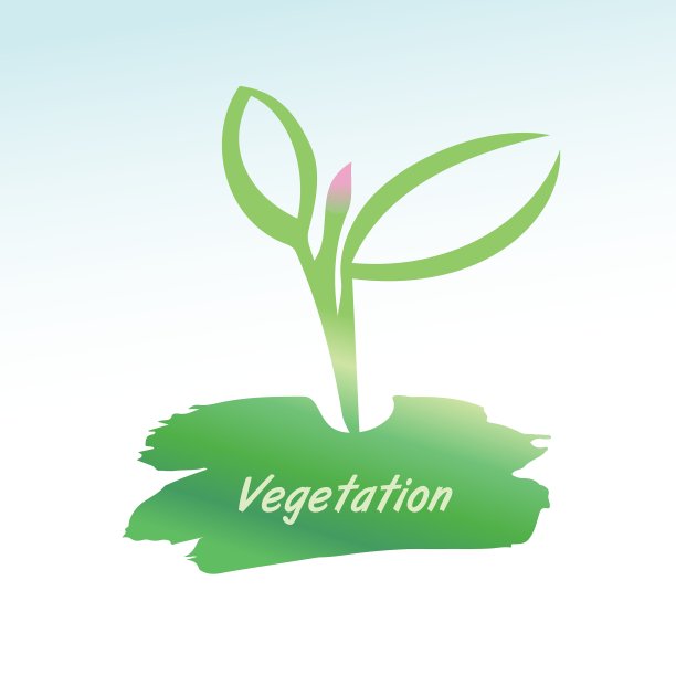 植物的生长，幼苗的突破图片下载