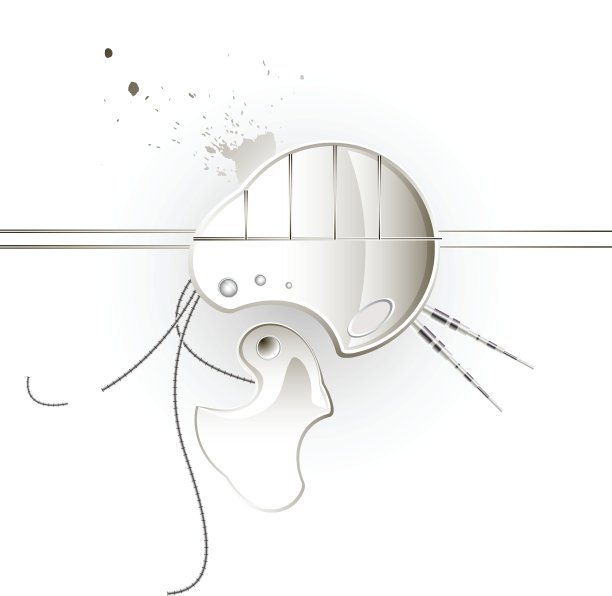 生物元素图片下载