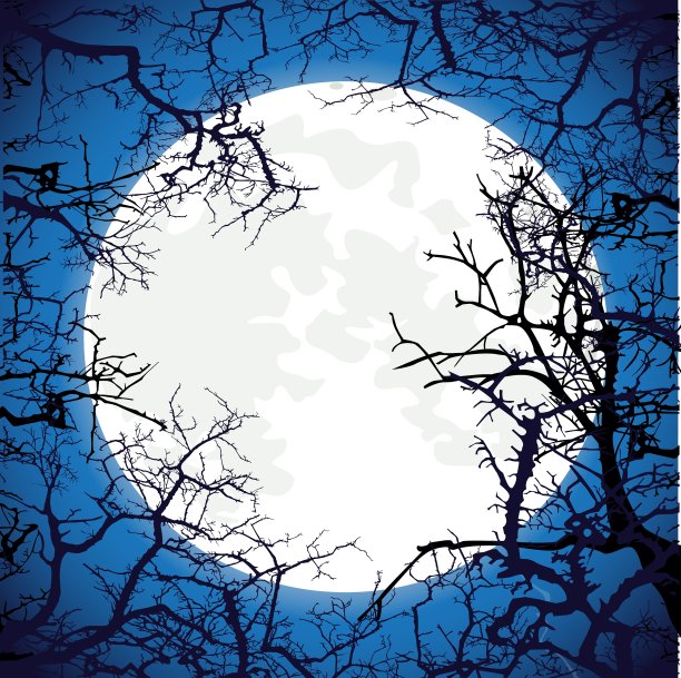 从光秃秃的树枝剪影的框架图片下载