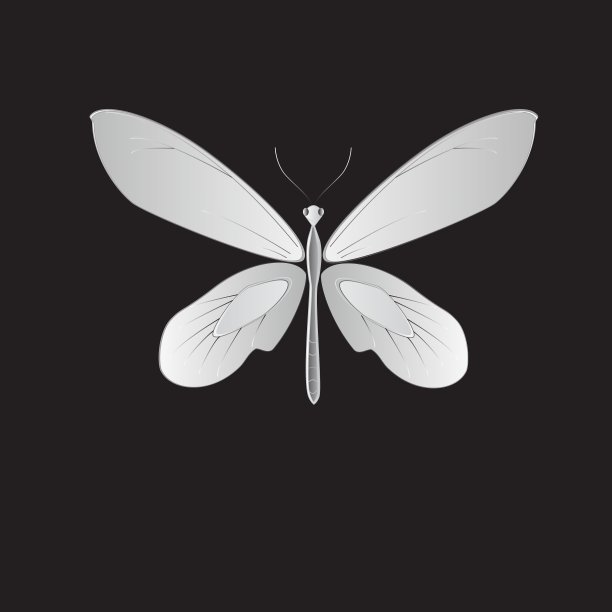 金属的蝴蝶图片下载