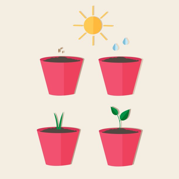 平式农场花园设置图片下载