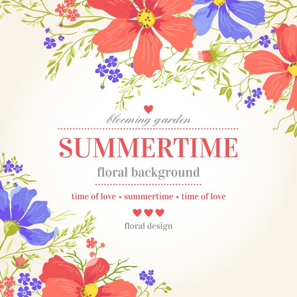 贺卡与美丽可爱的花在一个whi图片下载