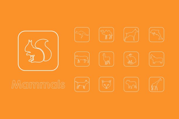 一组简单的哺乳动物图标图片下载