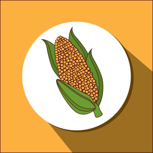 健康的食物和纯素食的生活方式图片下载