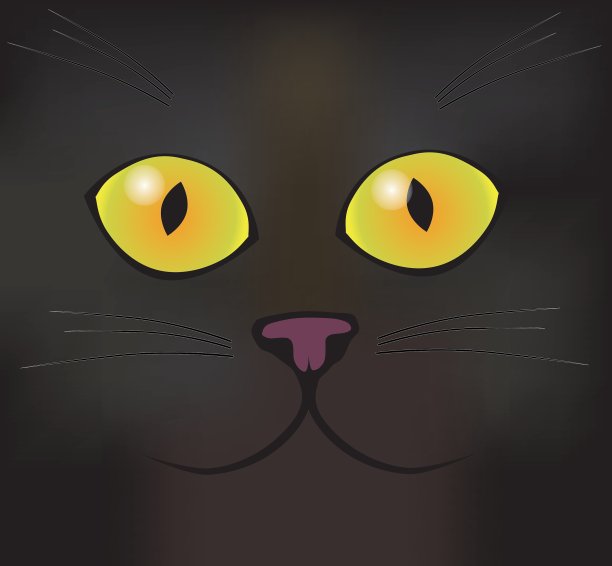 一只黑猫的眼睛图片下载