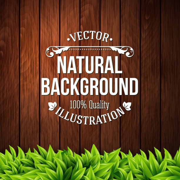 自然背景与木板和树叶图片下载