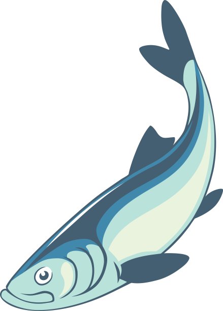 鲱鱼鱼图片下载