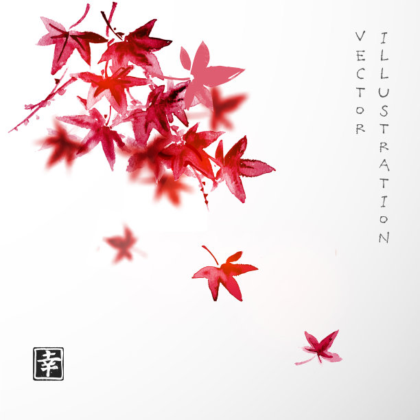 红色日本枫树的叶子图片下载
