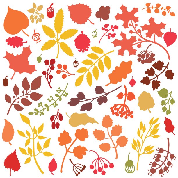 秋叶支红莓设置瀑布剪影图片下载