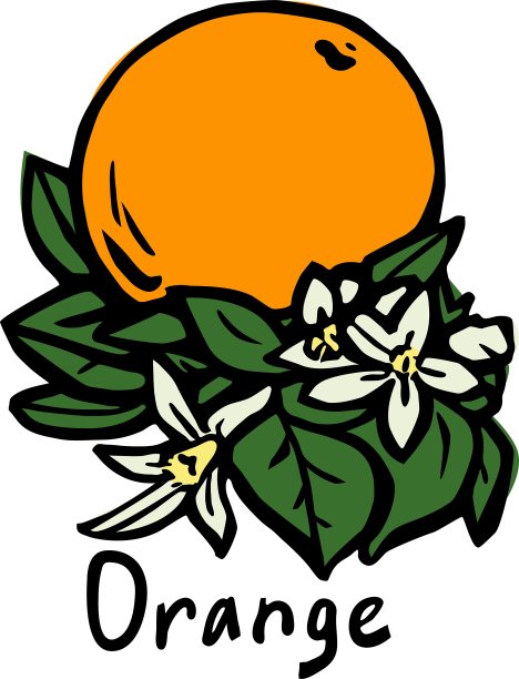 橙色水果图片下载