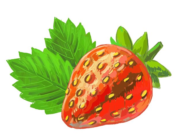 草莓的照片图片下载