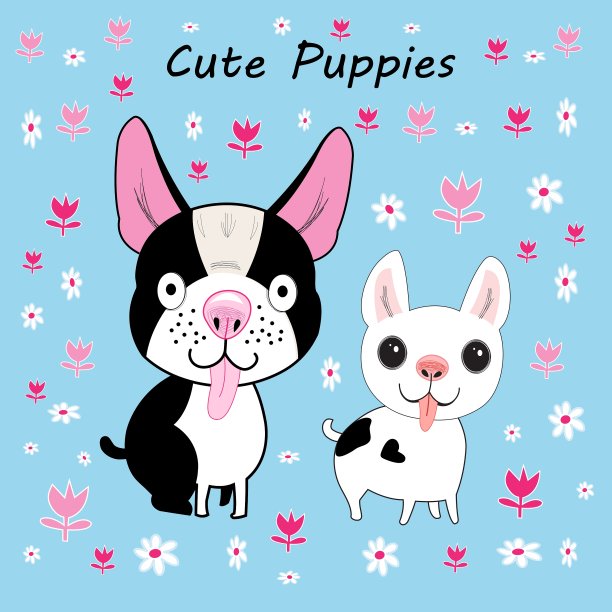 有趣的狗图片下载