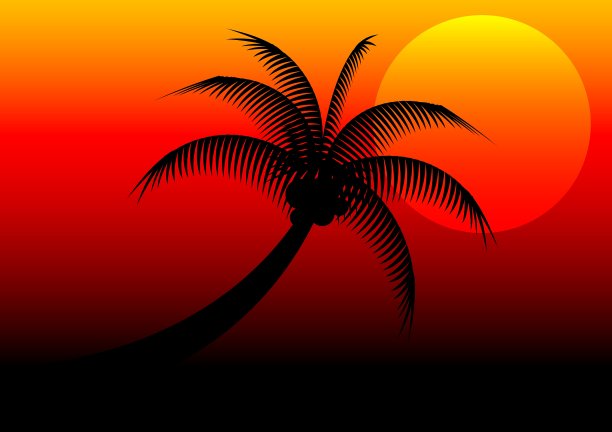 日落和椰子树图片下载