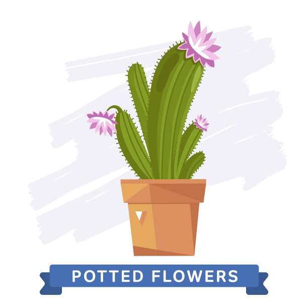 春天五彩缤纷的花朵在花盆里图片下载