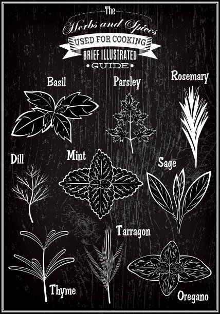 一组图像植物草药烹饪图片下载