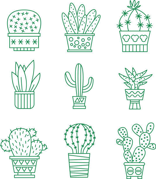 一组仙人掌图标图片下载