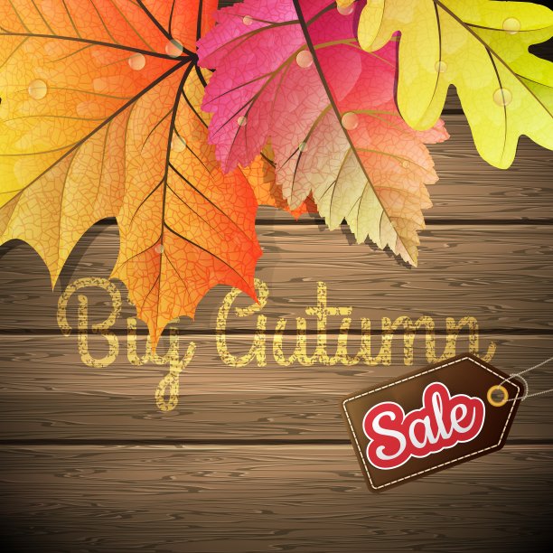 秋叶销售海报EPS 10图片下载