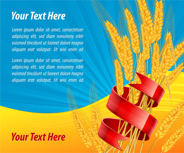 带丝带的麦穗图片下载