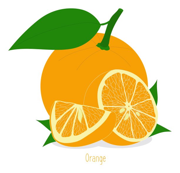 橘片收集图片下载