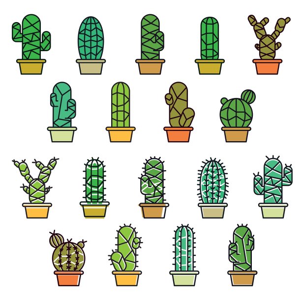 仙人掌集合在一起图片下载