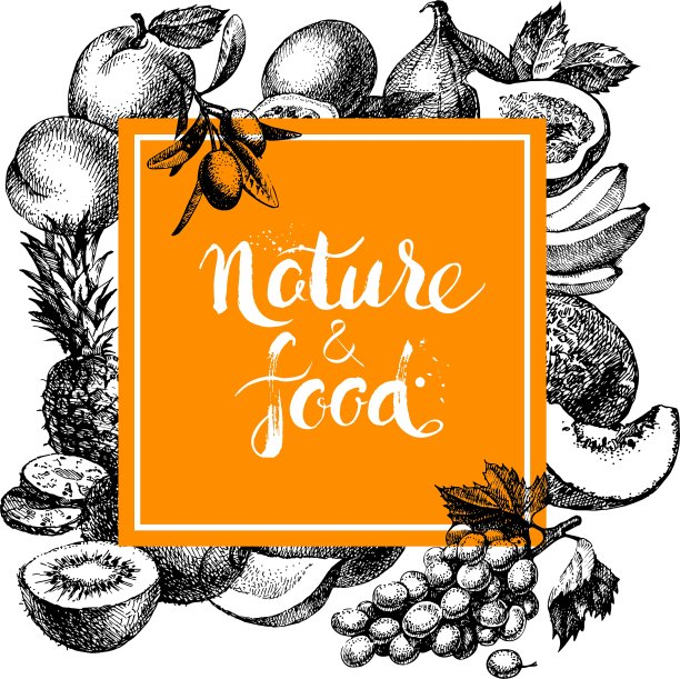 生态天然食品菜单背景手绘图片下载