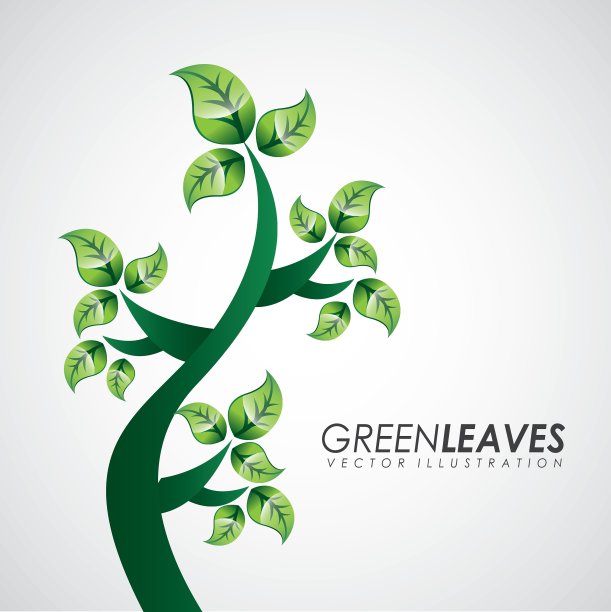 是真的吗图片下载