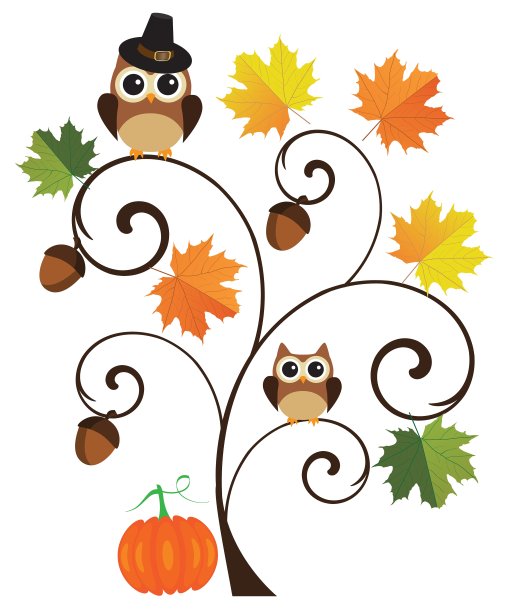 猫头鹰树图片下载