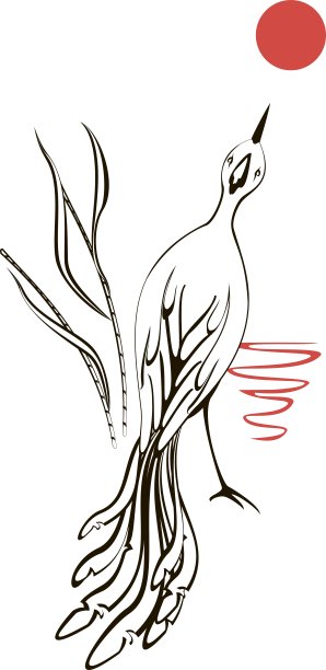 黑白相间的小鸟正在看月亮图片下载