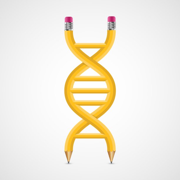 3D创意图标DNA从铅笔图片下载