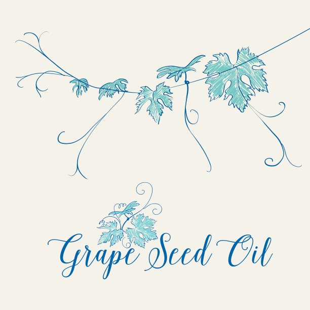 葡萄籽油图片下载