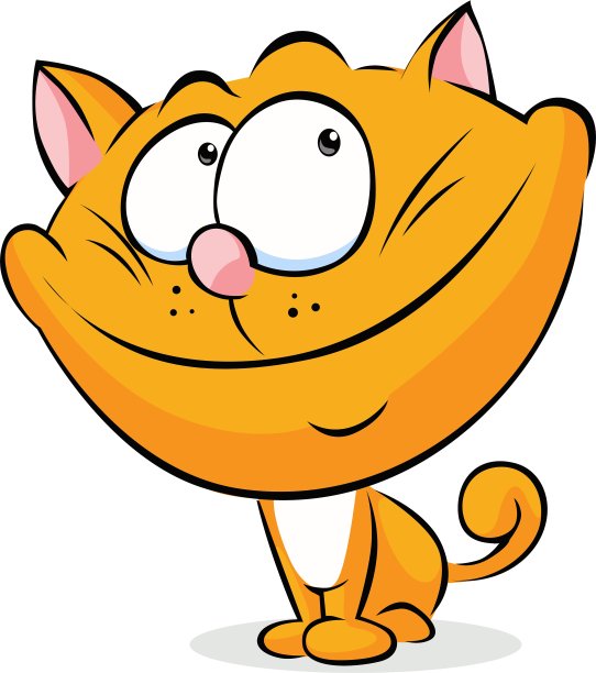 可爱的姜猫独自坐在白色的图片下载