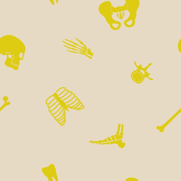 无缝背景与人类骨骼图片下载