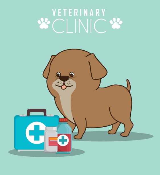 宠物及动物商店图片下载