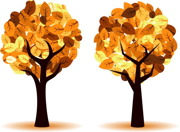 秋天的树图片下载