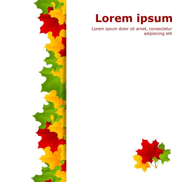 枫木模板图片下载