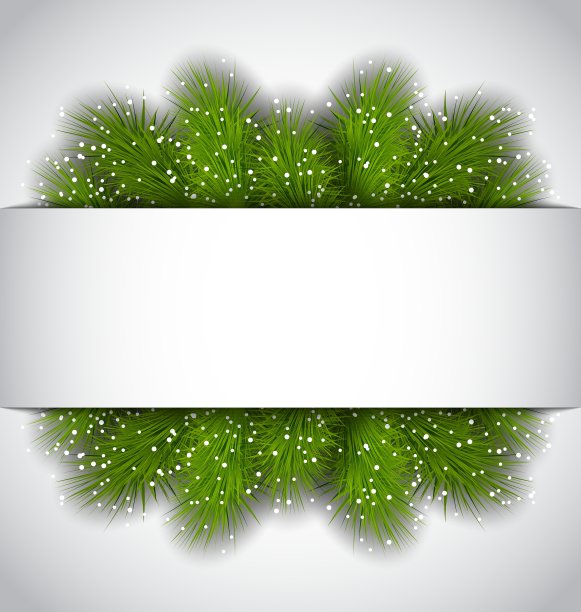 圣诞框架与绿色冷杉树枝图片下载