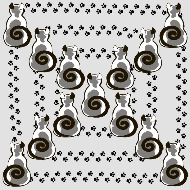 正上方白色背景的装饰照片图片下载