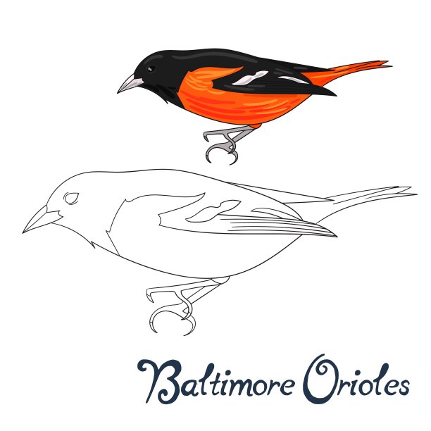 教育游戏着色书鸟图片下载