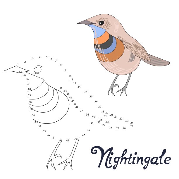 教育游戏连点画鸟图片下载