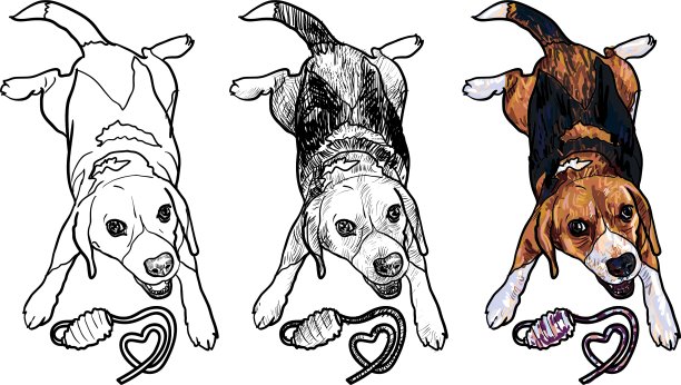 可爱的小猎犬快乐地玩玩具图片下载