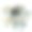 父亲节概念手写刻字动机图片下载
