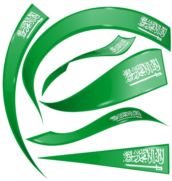 白色背景上的沙特阿拉伯国旗图片下载