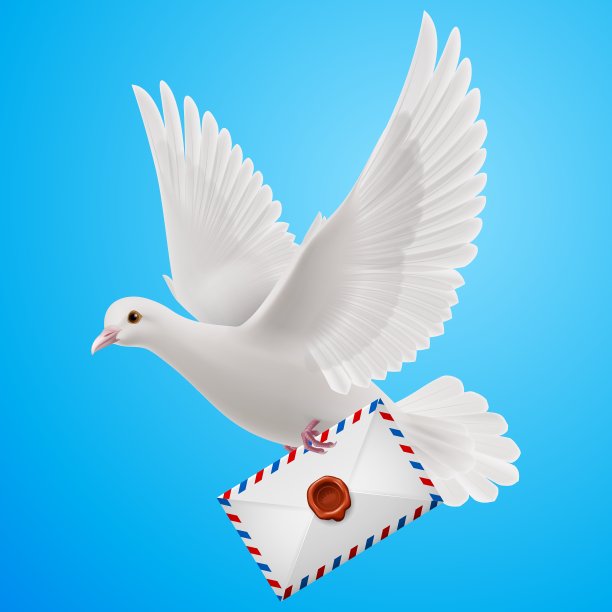 怀特先生在哪里图片下载